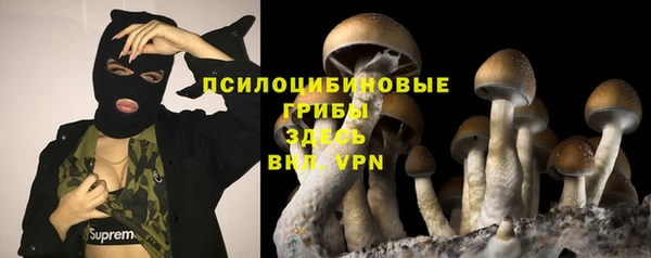сатива Заволжск