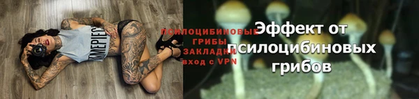 сатива Заволжск