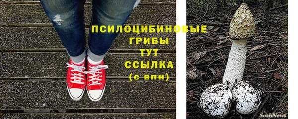 СК Заводоуковск