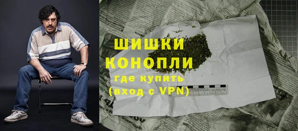 сатива Заволжск