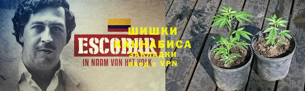 прущие крисы Заволжье